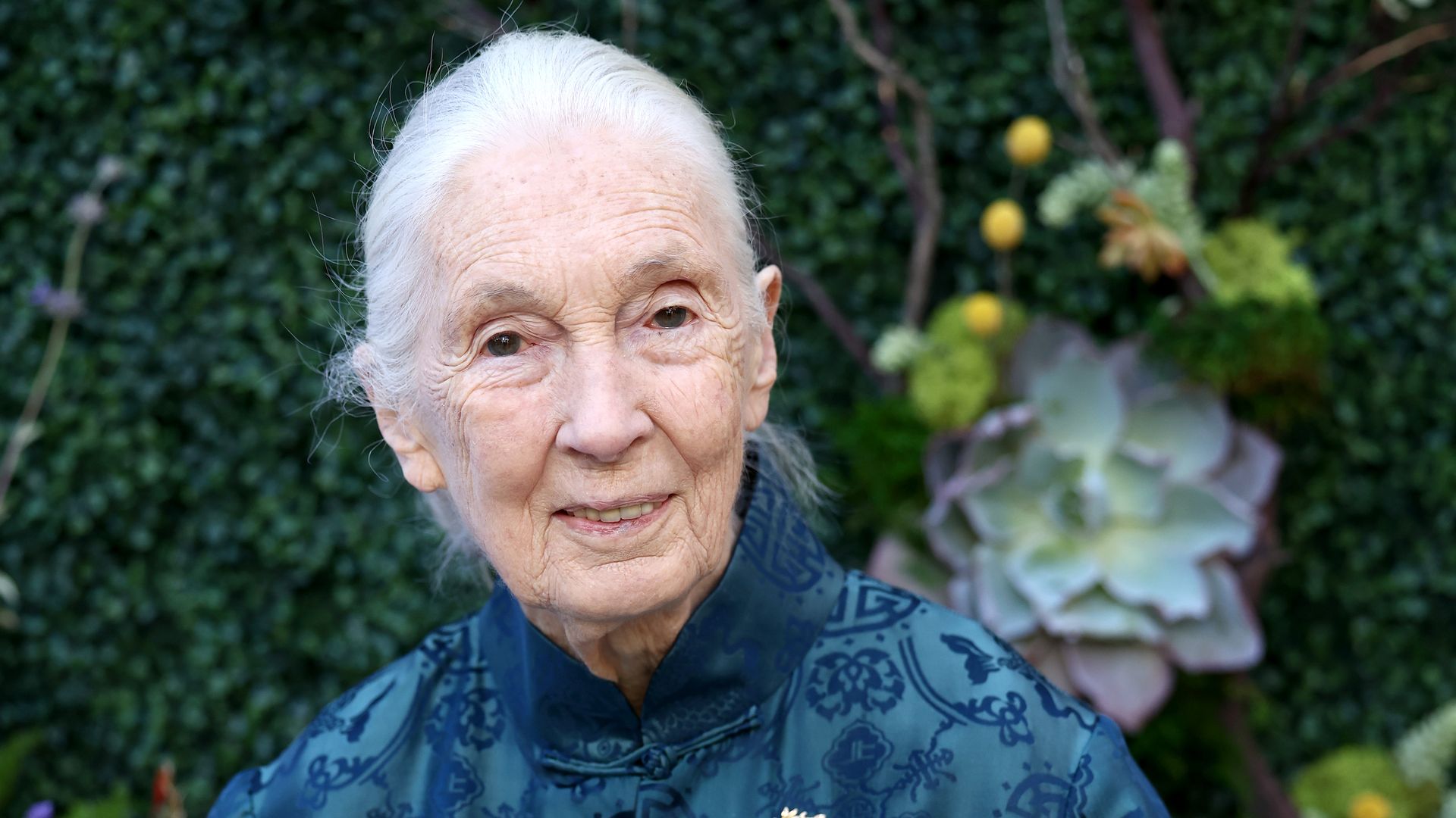 Conservationist Jane Goodall dies aged 91